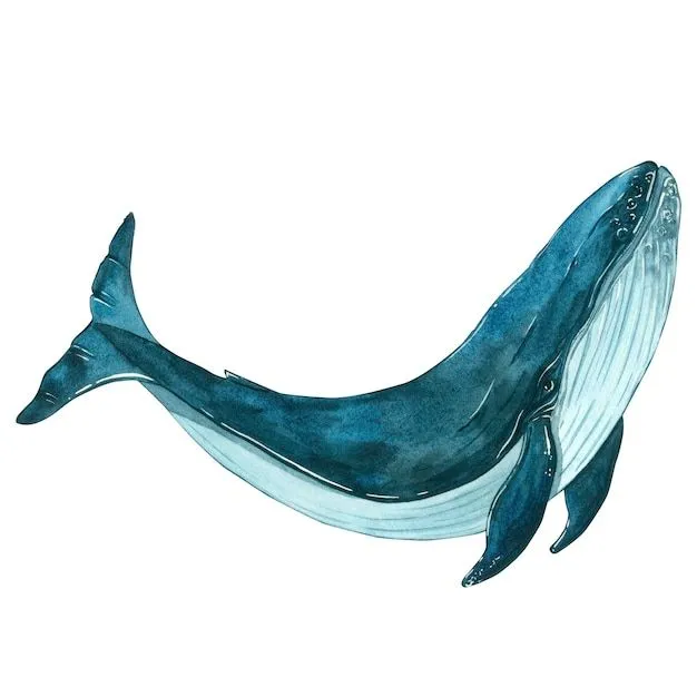 ballena original
